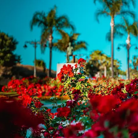 דירה Casa Catalina Beach And Golf